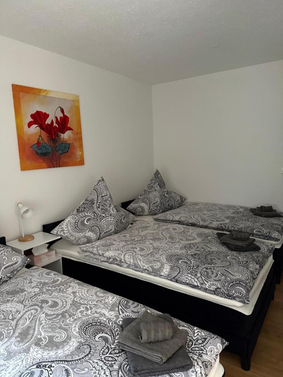 Gemuetliche Und Zentrale Stadtwohnung Apartment *